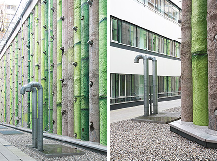 Kunst im öffentlichen Raum: Bambus Kunst im öffentlichen Raum: Bambus