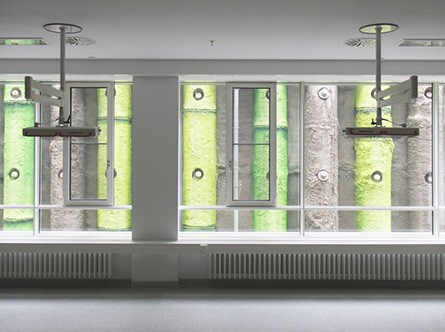 Kunst im öffentlichen Raum: Bambus Kunst im öffentlichen Raum: Bambus